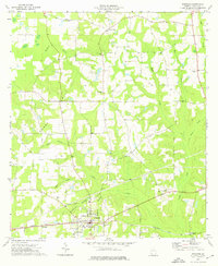 1974 Map of Whigham, GA, 1976 Print