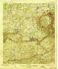 preview thumbnail of historical topo map of Warm Springs, GA in 1936