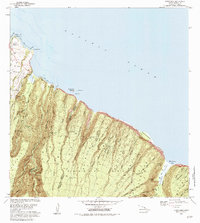 Download a high-resolution, GPS-compatible USGS topo map for Honokane, HI (1984 edition)