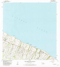 Download a high-resolution, GPS-compatible USGS topo map for Kukaiau, HI (1984 edition)