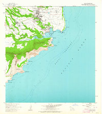 1963 Map of Lihue, 1964 Print