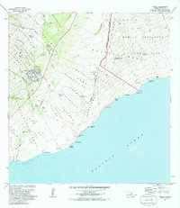 preview thumbnail of historical topo map of Pahala, HI in 1981