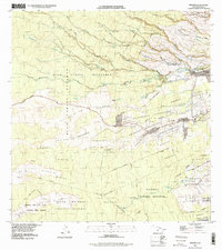 Download a high-resolution, GPS-compatible USGS topo map for Piihonua, HI (1999 edition)
