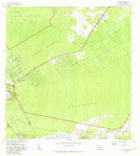 preview thumbnail of historical topo map of Volcano, HI in 1981