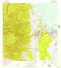 1955 Map of Wailuku, 1957 Print