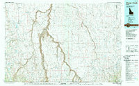 preview thumbnail of historical topo map of Owyhee County, ID in 1989
