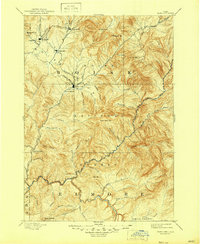 preview thumbnail of historical topo map of Idaho City, Boise County, ID in 1894