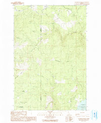 preview thumbnail of historical topo map of Clearwater County, ID in 1990