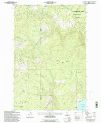 Download a high-resolution, GPS-compatible USGS topo map for Aldermand Ridge, ID (1997 edition)