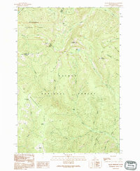 preview thumbnail of historical topo map of Lemhi County, ID in 1991