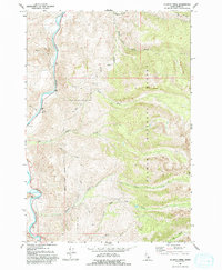 Download a high-resolution, GPS-compatible USGS topo map for Allison Creek, ID (1993 edition)