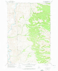 Download a high-resolution, GPS-compatible USGS topo map for Allison Creek, ID (1975 edition)