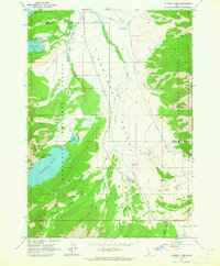 Download a high-resolution, GPS-compatible USGS topo map for Alturas Lake, ID (1965 edition)