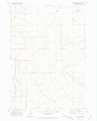 preview thumbnail of historical topo map of Custer County, ID in 1972
