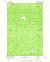 Download a high-resolution, GPS-compatible USGS topo map for Anthony Peak, ID (1973 edition)