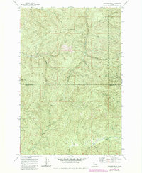 Download a high-resolution, GPS-compatible USGS topo map for Anthony Peak, ID (1984 edition)