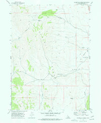 Download a high-resolution, GPS-compatible USGS topo map for Badger Hole Spring, ID (1977 edition)