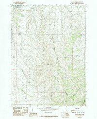 Download a high-resolution, GPS-compatible USGS topo map for Badger Peak, ID (1984 edition)
