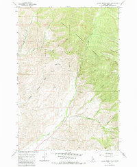 Download a high-resolution, GPS-compatible USGS topo map for Badger Spring Gulch, ID (1970 edition)