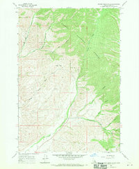 Download a high-resolution, GPS-compatible USGS topo map for Badger Spring Gulch, ID (1970 edition)