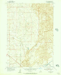 Download a high-resolution, GPS-compatible USGS topo map for Baldy Knoll, ID (1956 edition)