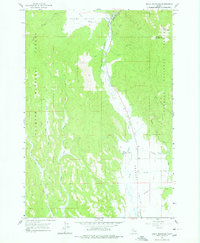 Download a high-resolution, GPS-compatible USGS topo map for Bally Mountain, ID (1978 edition)