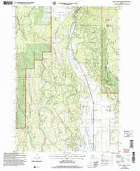 Download a high-resolution, GPS-compatible USGS topo map for Bally Mountain, ID (2007 edition)
