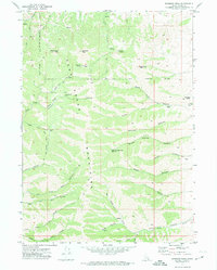 Download a high-resolution, GPS-compatible USGS topo map for Bannock Peak, ID (1974 edition)