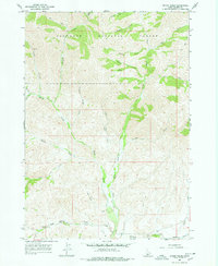 Download a high-resolution, GPS-compatible USGS topo map for Baugh Creek, ID (1978 edition)