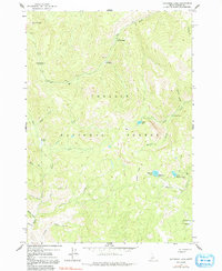 Download a high-resolution, GPS-compatible USGS topo map for Bayhorse Lake, ID (1991 edition)
