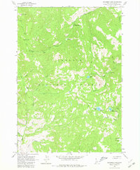 Download a high-resolution, GPS-compatible USGS topo map for Bayhorse Lake, ID (1980 edition)