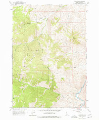 Download a high-resolution, GPS-compatible USGS topo map for Bayhorse, ID (1977 edition)