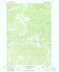 Download a high-resolution, GPS-compatible USGS topo map for Bear Valley Mtn, ID (1984 edition)