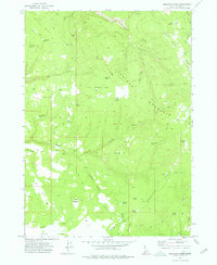 Download a high-resolution, GPS-compatible USGS topo map for Bedstead Ridge, ID (1976 edition)