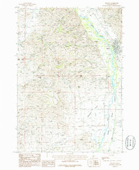 Download a high-resolution, GPS-compatible USGS topo map for Bellevue, ID (1986 edition)