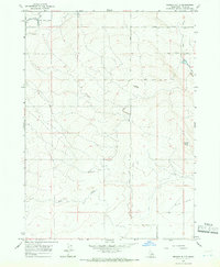 Download a high-resolution, GPS-compatible USGS topo map for Berger Butte, ID (1966 edition)