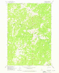 Download a high-resolution, GPS-compatible USGS topo map for Big Baldy, ID (1975 edition)