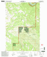 Download a high-resolution, GPS-compatible USGS topo map for Big Cedar, ID (1999 edition)