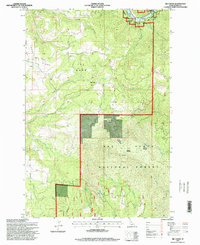 Download a high-resolution, GPS-compatible USGS topo map for Big Cedar, ID (1999 edition)