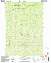 Download a high-resolution, GPS-compatible USGS topo map for Big Chief Creek, ID (2007 edition)