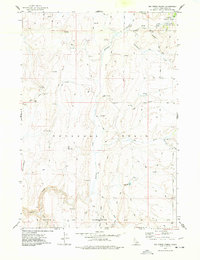 Download a high-resolution, GPS-compatible USGS topo map for Big Creek Ranch, ID (1977 edition)