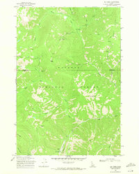 Download a high-resolution, GPS-compatible USGS topo map for Big Creek, ID (1971 edition)