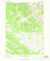 Download a high-resolution, GPS-compatible USGS topo map for Big Elk Mtn, ID (1969 edition)