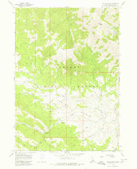 Download a high-resolution, GPS-compatible USGS topo map for Big Elk Mtn, ID (1980 edition)