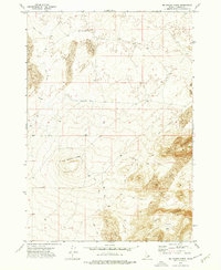 Download a high-resolution, GPS-compatible USGS topo map for Big Grassy Ridge, ID (1976 edition)