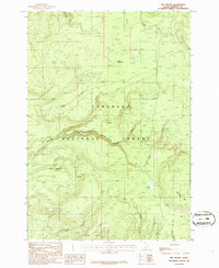 Download a high-resolution, GPS-compatible USGS topo map for Big Grassy, ID (1986 edition)