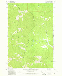 Download a high-resolution, GPS-compatible USGS topo map for Big Hole Pass, ID (1980 edition)