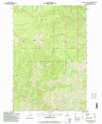 Download a high-resolution, GPS-compatible USGS topo map for Big Rock Mountain, ID (1999 edition)