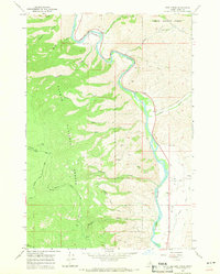 Download a high-resolution, GPS-compatible USGS topo map for Bird Creek, ID (1971 edition)