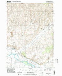 Download a high-resolution, GPS-compatible USGS topo map for Birding Island, ID (2002 edition)
